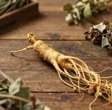 Panax Ginseng Aerial Extract
