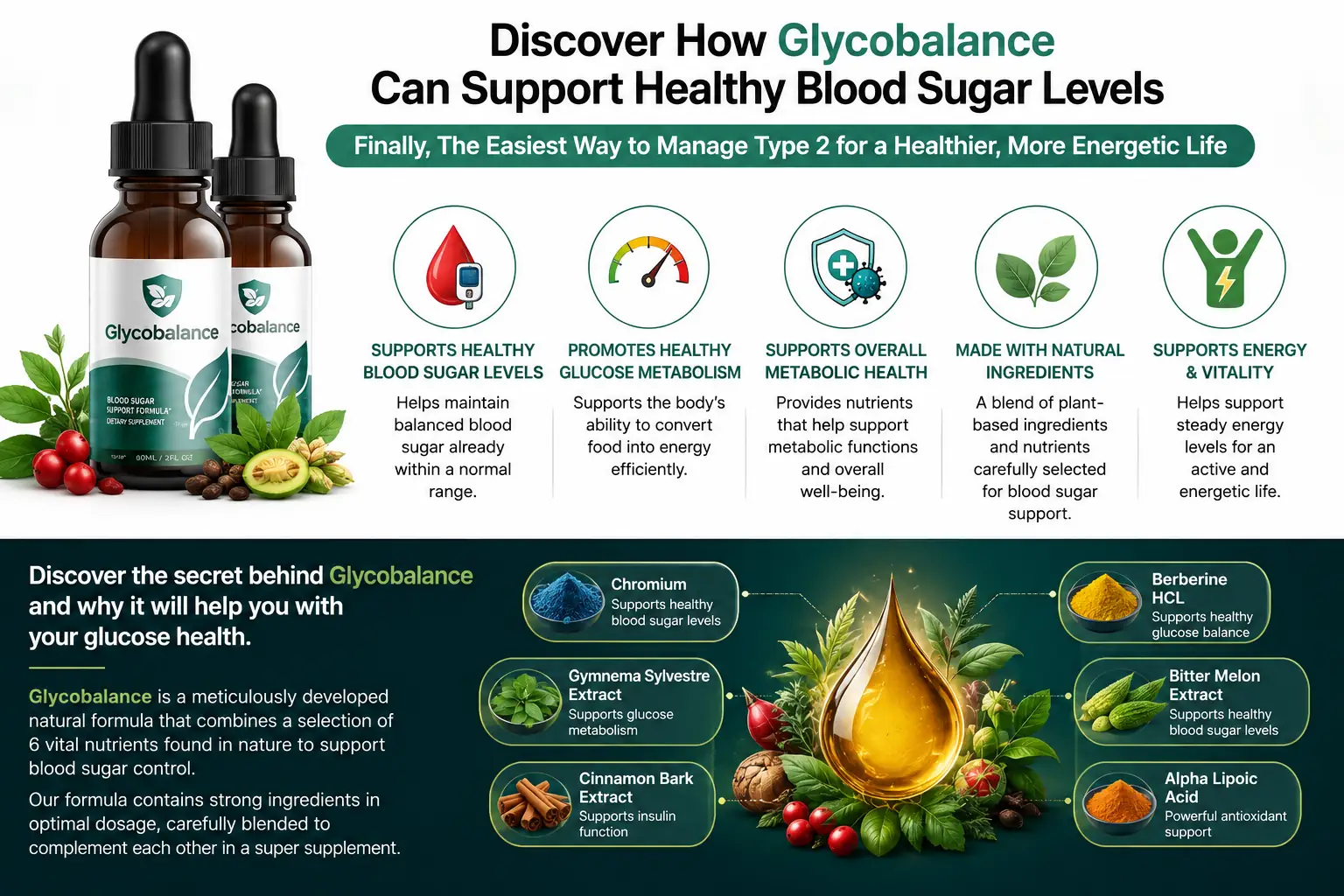 How Glycobalance works
